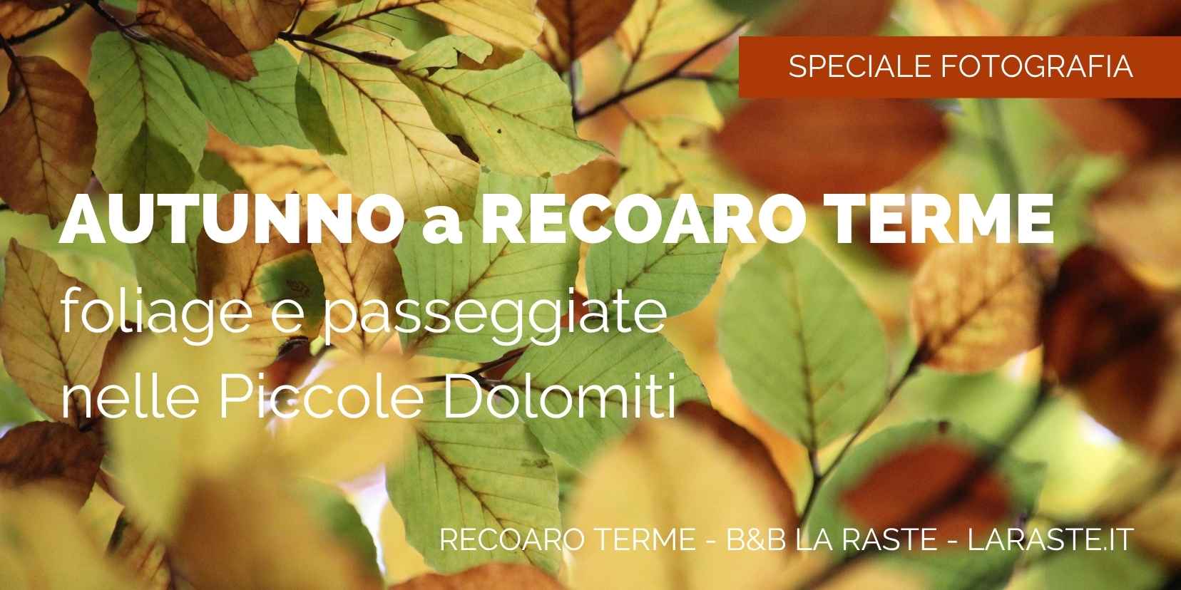 Foliage Lo spettacolo delle foglie d'autunno Foliage Lo spettacolo delle foglie d'autunno