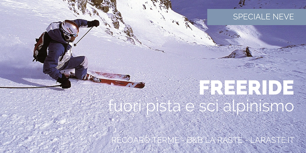 Freeride Sci e Snowboard