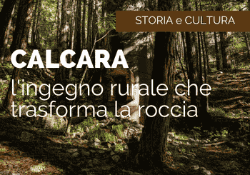 La Calcara: l’ingegno rurale che ha trasformato la roccia in architettura