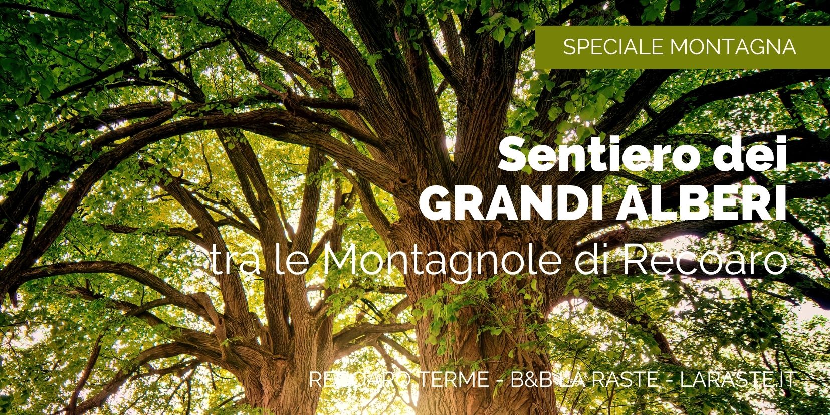 Monte Pasubio: Teatro della Prima Guerra Mondiale